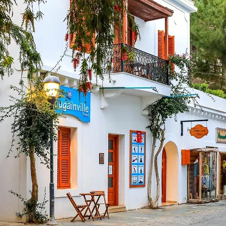 Mavi Kiyi Hotel